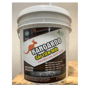 Kangaroo cải tiến mới