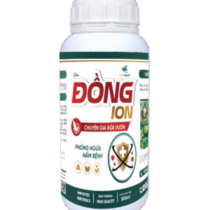 ĐỒNG ION